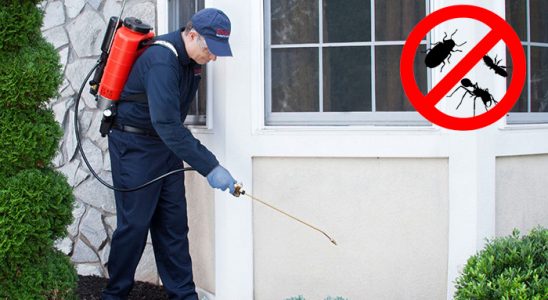 Güzelbahçe Uçan Haşere İlaçlama böcek ilaçlama ve haşere kontrolü — ilaclama-tr.com